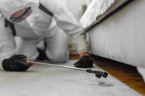 Professional Termite Control technician working in Edgeworth, PA