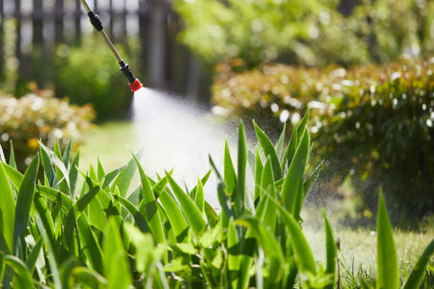 24/7 Emergency Termite Control experts in Edgeworth, PA